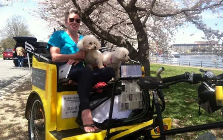 Grand Monuments & Memorials Tour