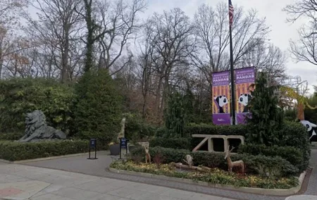 National Zoo Self Guided Scavenger Hunt