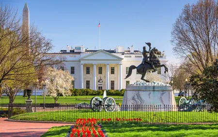 Washington DC Highlights: Private Half-Day Tour