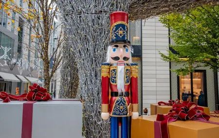 Downtown DC Holiday Tour: Lights, Decorations & Festive Cheer