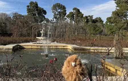 Aristocratic Madrid – Full Day Private Tour