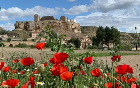 3 Day Foodies & Nature Lovers Tour; Medieval Village Near Madrid